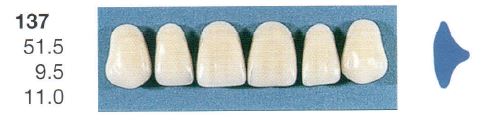 137-A1U ANTERIOR SENATOR TEETH | Oraltec